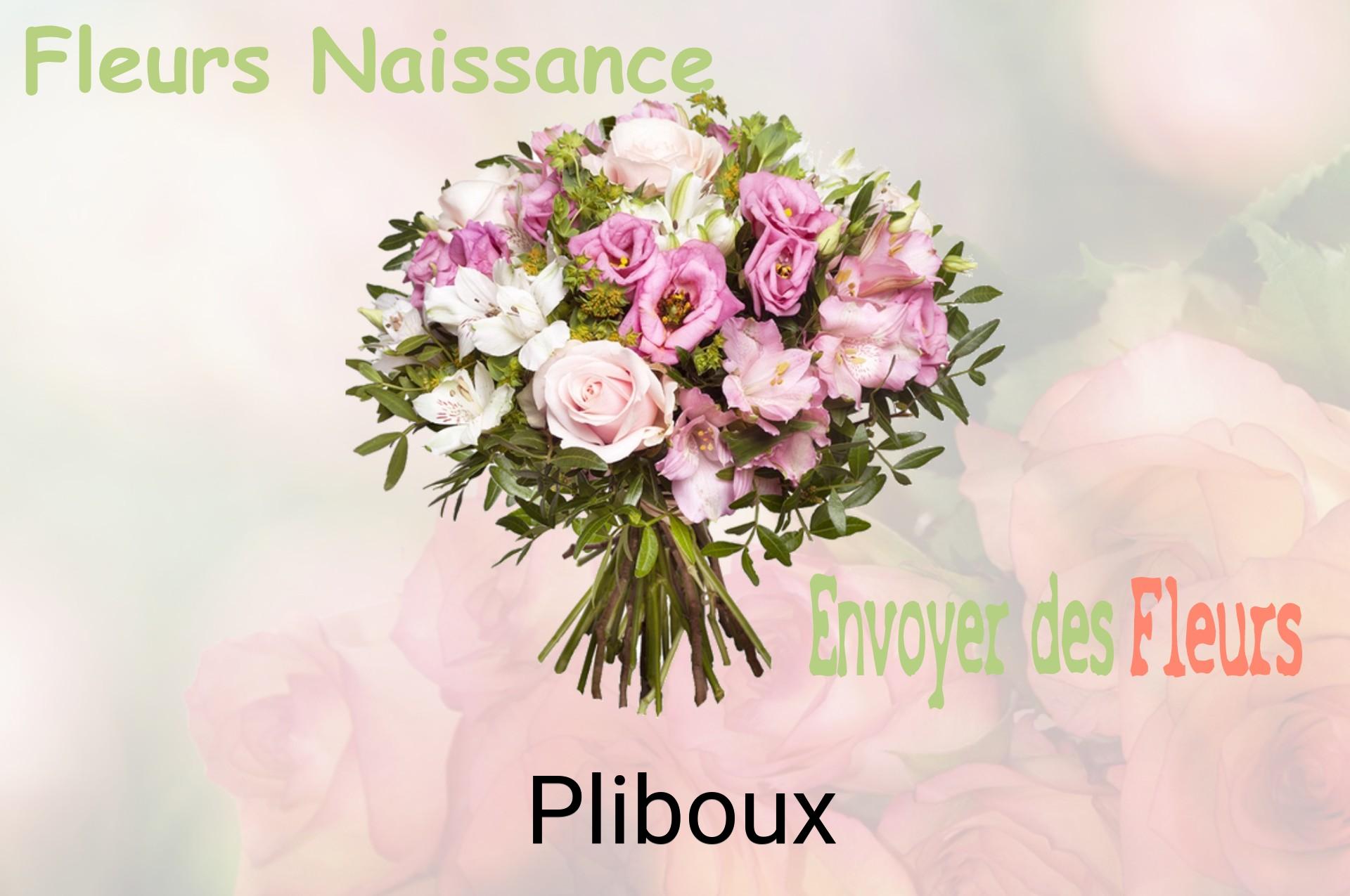 Bouquet de fleurs de naissance livré à Pliboux