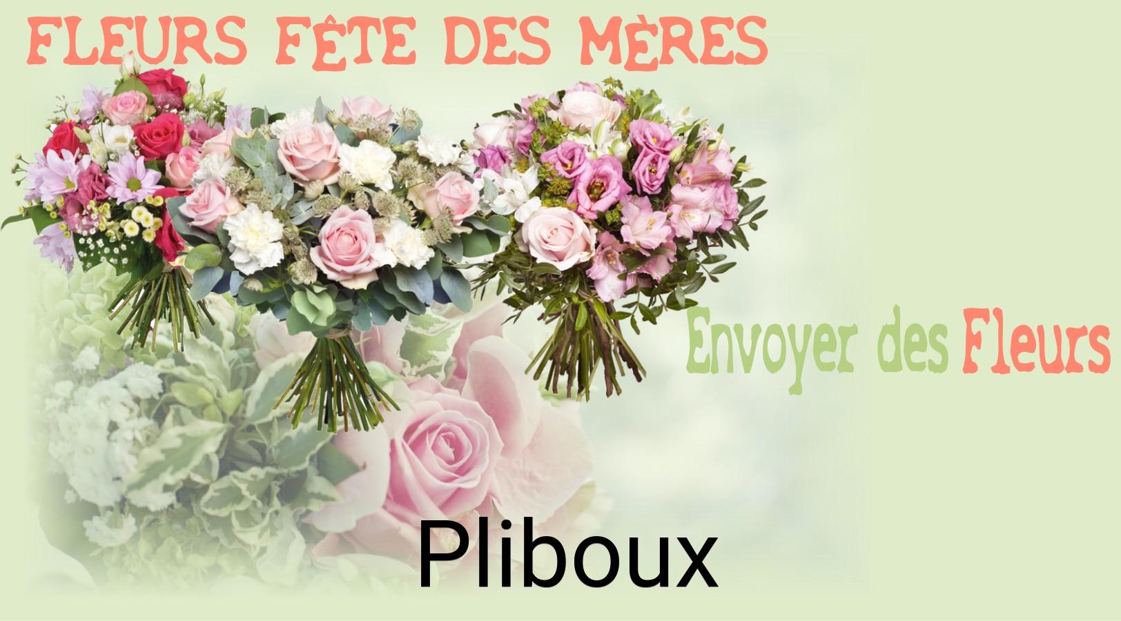 Bouquet de Fête des Mères livré à Pliboux